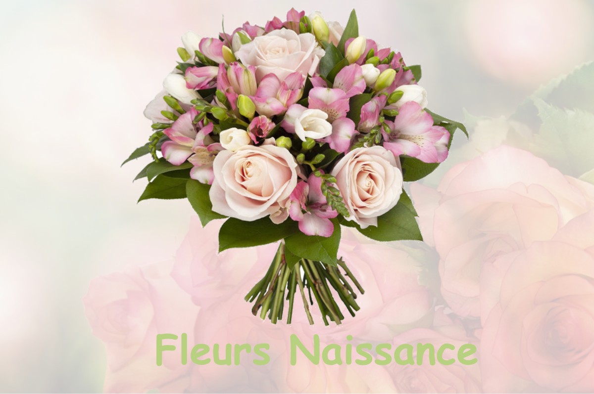 fleurs naissance MEUSSIA