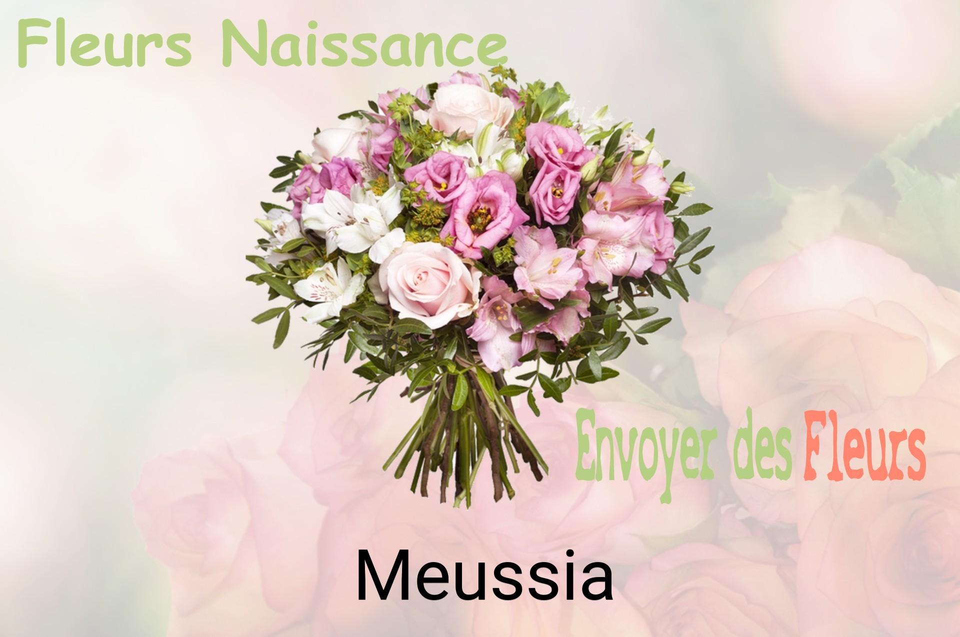 Bouquet de fleurs de naissance livré à Meussia
