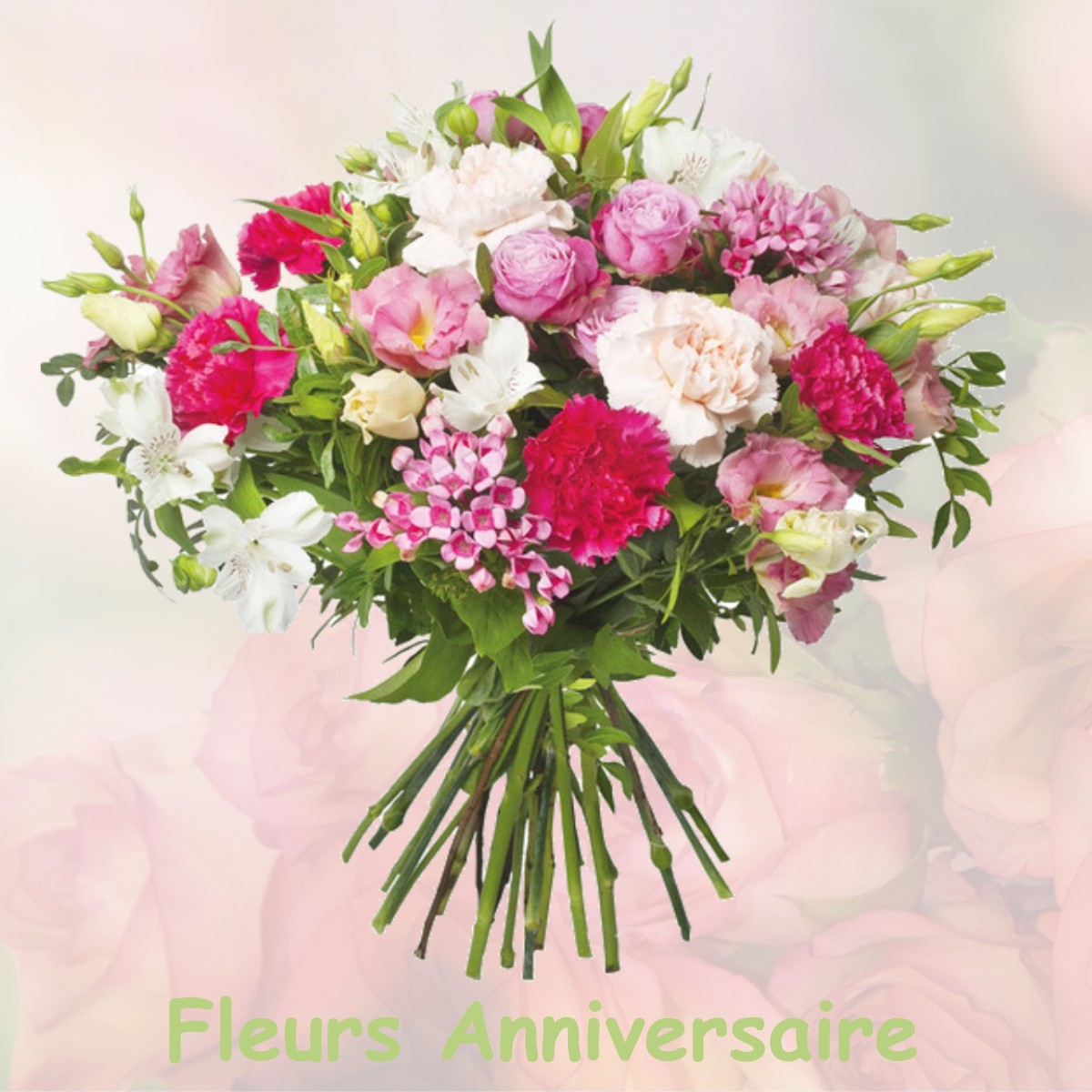 fleurs anniversaire MEUSSIA