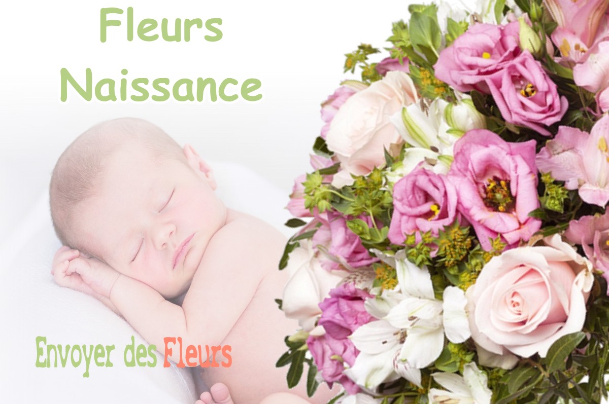 lIVRAISON FLEURS NAISSANCE à MEUSSIA